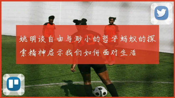 姚明谈自由与渺小的哲学蚂蚁的探索精神启示我们如何面对生活